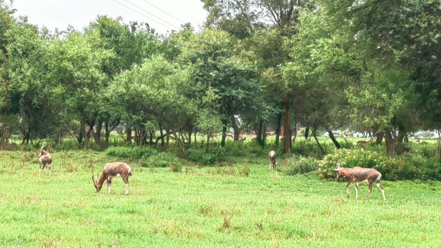 3 Bedroom Property for Sale in Potchefstroom Rural North West